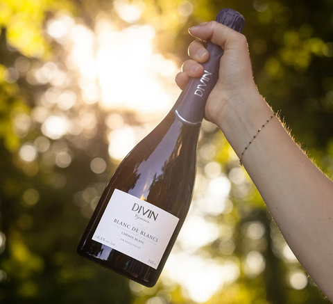 Sommelier Review – DIVIN ‘Vigneron Edition’ Sparkling Chenin Blanc de Blancs