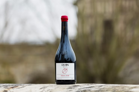 The Best Non-Alcoholic Wines for Every Type of Wine Drinker