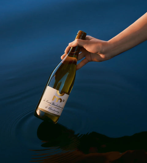 Moderato Vintage Chardonnay