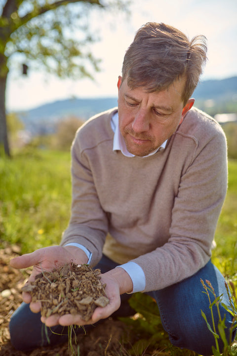 Jörg Geiger Rosenzauber