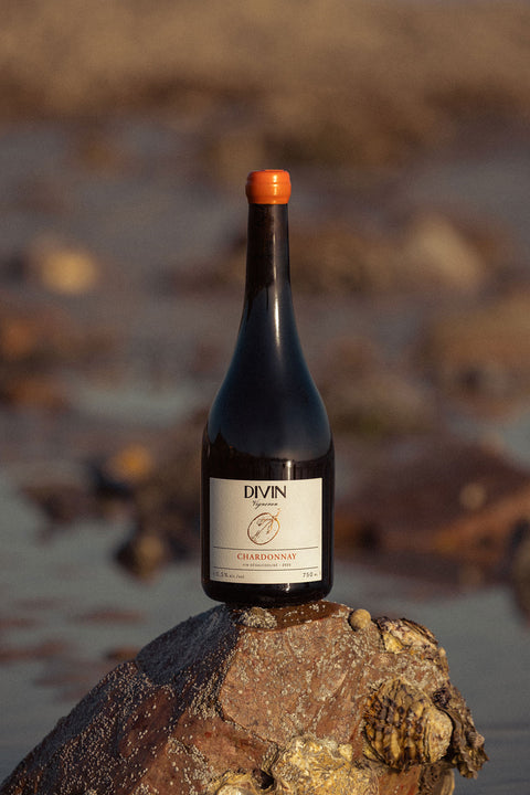 DIVIN 'Vigneron' Edition Chardonnay