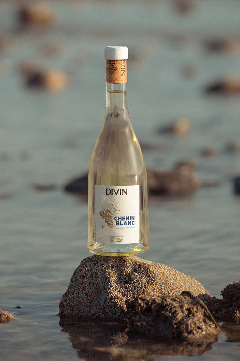 DIVIN Late Harvest Chenin Blanc