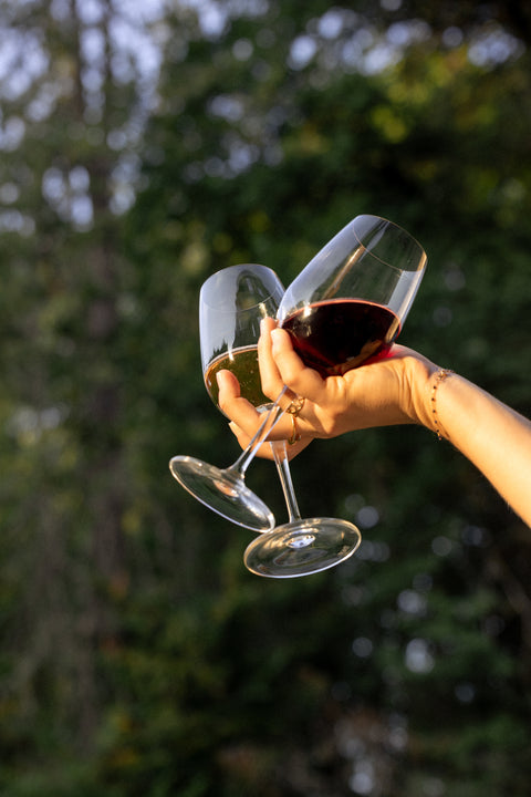 Red Discovery Bundle