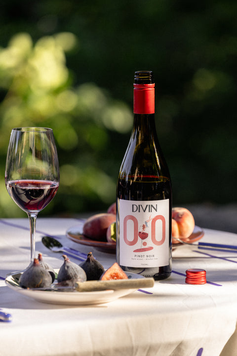 Red Discovery Bundle