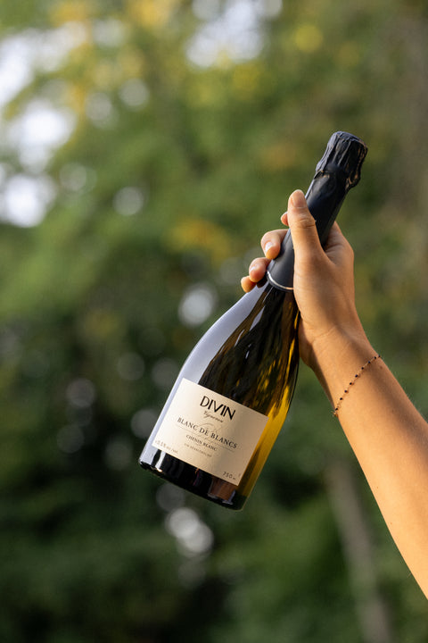 DIVIN 'Vigneron' Edition Sparkling Chenin Blanc